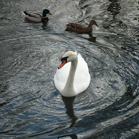 Lednicko-valtický Apartamento