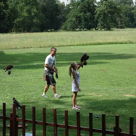 Lednicko-valtický * Hlohovec